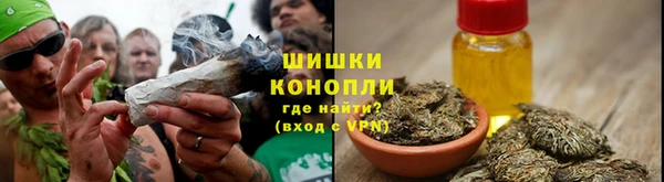 дживик Мегион