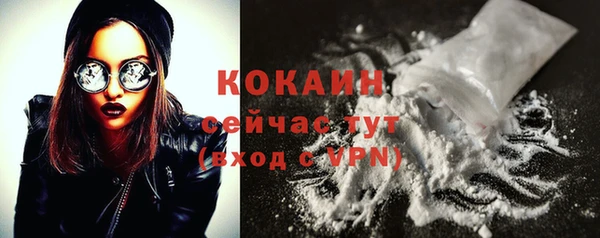 дживик Мегион