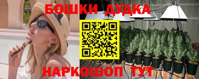 Альфа ПВП Бийск