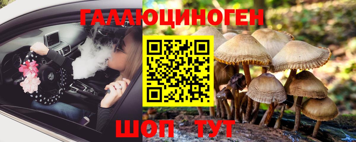 Галлюциногенные грибы Psilocybe Изобильный